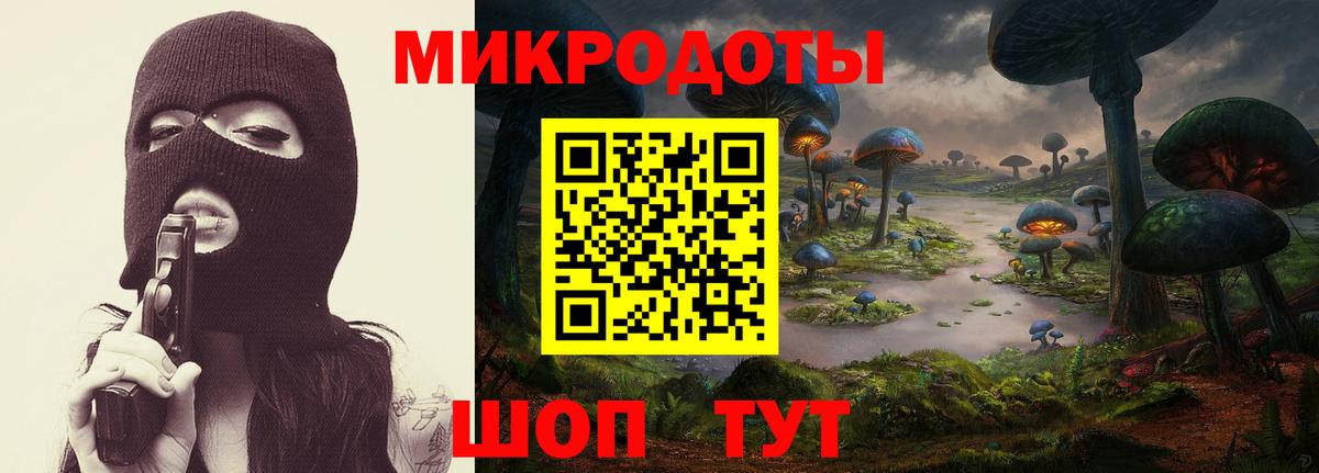 Галлюциногенные грибы Cubensis  Вход с VPN  Советский  Псилоцибиновые грибы мицелий 