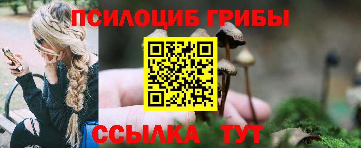 Псилоцибиновые грибы ЛСД Советский